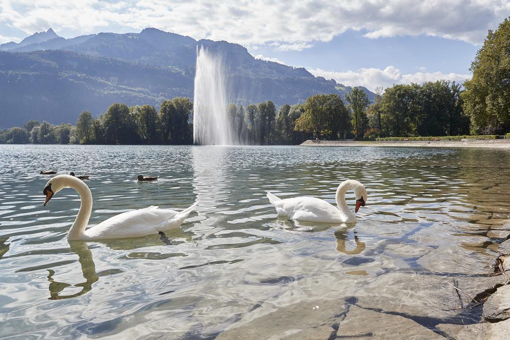 Parkhotel Schwert Weesen Dış mekan fotoğraf